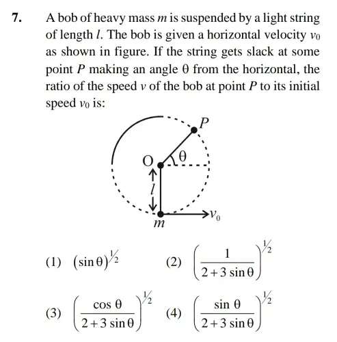 7.webp