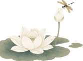 发送莲花最终.png