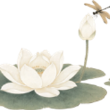 发送莲花最终