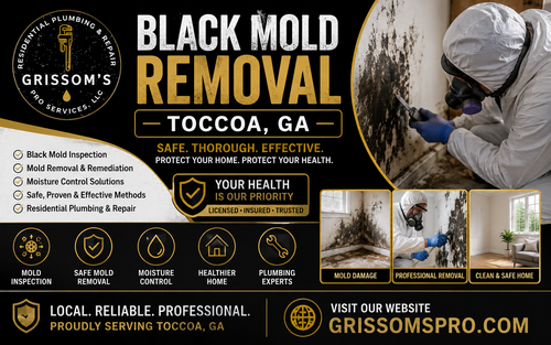 Black Mold Removal Toccoa GA.png