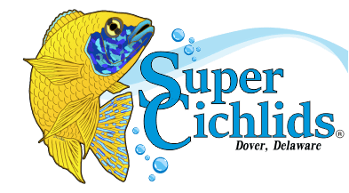 logo 550x 2 400x 2.png