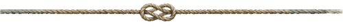 Untitled design 2.png