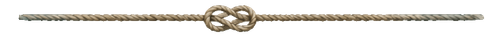 Untitled design 2.png