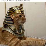 image 2026 06 12T171044.024.png