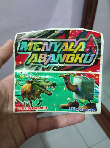 IMG 20251208 110317.jpg