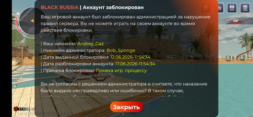 527.jpg