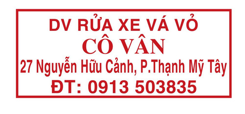 co van.jpg