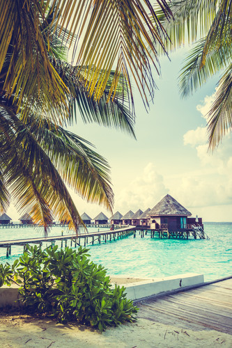 Sand Dollar Vacation Properties with Scenic Island Views.jpg