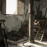 IMG 0781