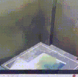 gCbIae3ERTX8P9H.gif