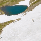 this is life.gif