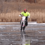 1111.gif