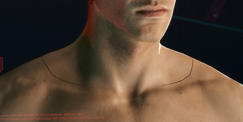 Cyberpunk 2077 Screenshot 2026.06.12 16.25.36.86.png
