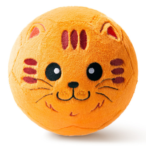 01cat.jpg
