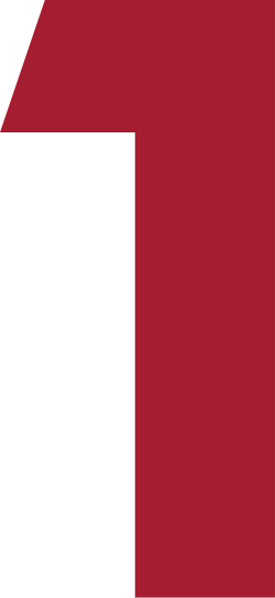 STVR 1.png