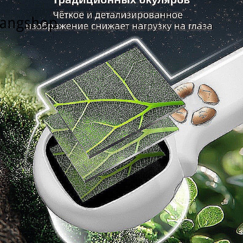 1781289002314.jpg