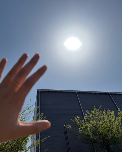 p.jpg