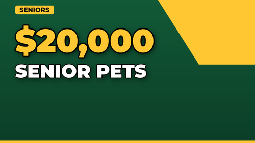 thumb pet insurance for senior pets landscape.png