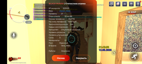 7955.png