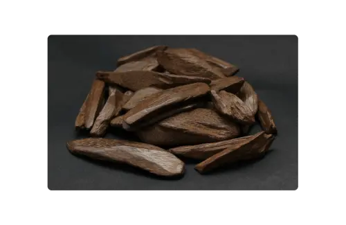 قسم 1 برمجة.webp