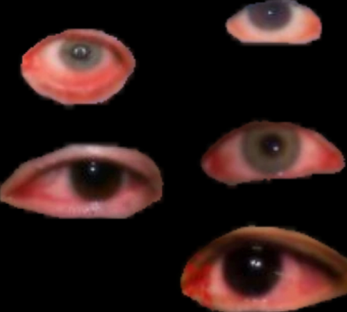 temp.png