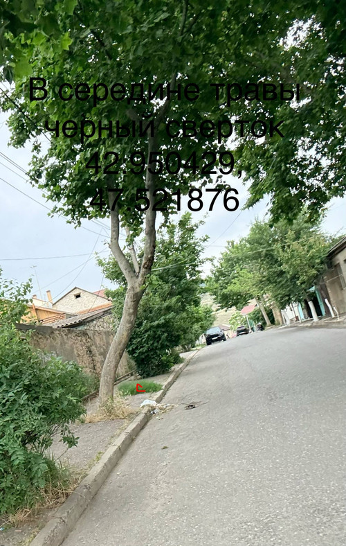 IMG 20260612 221555 271.jpg