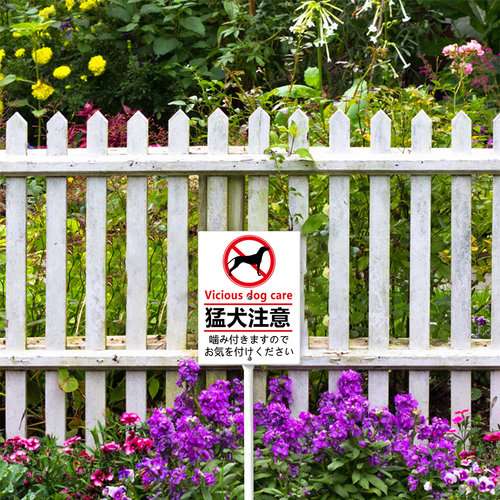 22 0613DC26N 01.png