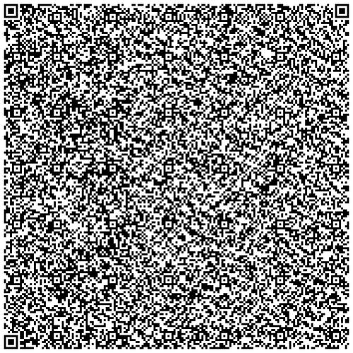 IMG 5978.png