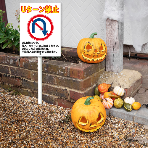 44 0613DC26N 08.png
