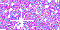 IMG 5148.gif