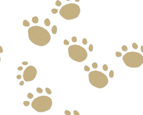 IMG 5150.gif