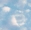 IMG 5149.webp