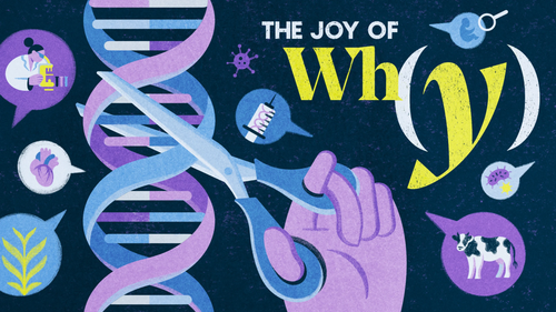 基因编辑的下一步：从 CRISPR 惊喜走向长期治理.png