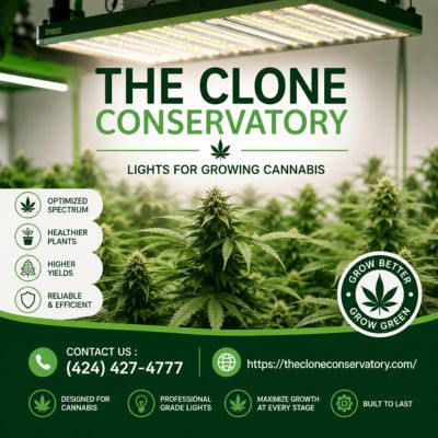 Lights For Growing Cannabis.jpg
