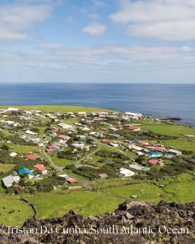 2 images (2).png