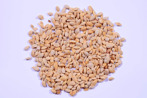 25 dwarf with full sized tasty lemons seeds knessin original imah2qjgv6dgphu4.jpg
