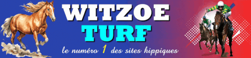 Design sans titre.gif