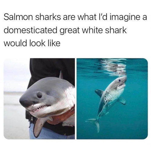 image 2026 06 12T193607.010.png