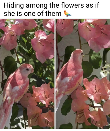 image 2026 06 12T193611.722.png