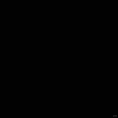 1000069520.jpg