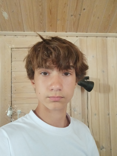 temp.png