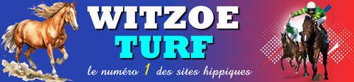 witzoeturf.jpg
