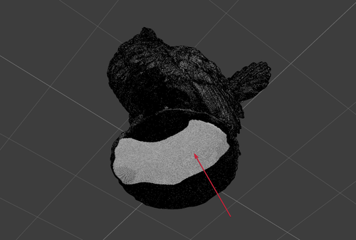 msedge AbPH5Q3Auo.png