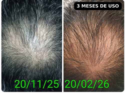 hf 20260612 142130 93f11ef0 36fb 44de ac34 27002e5135d4.png