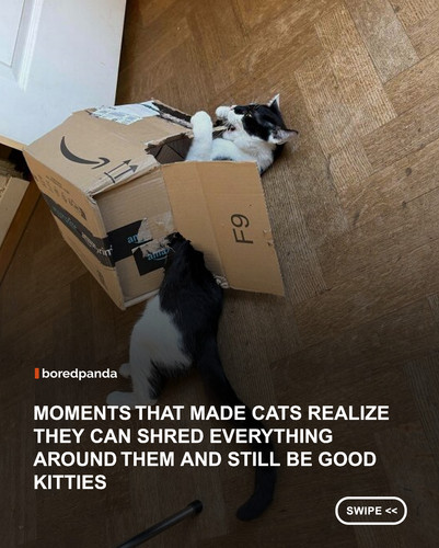 swipe to read.jpg