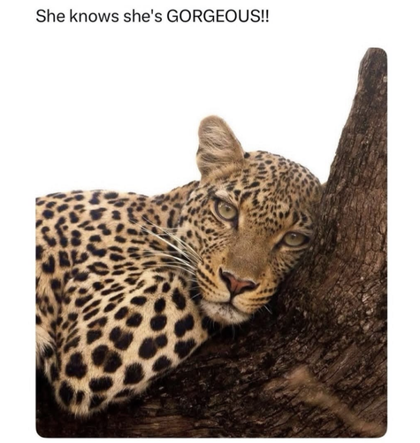 image 2026 06 12T210017.613.png