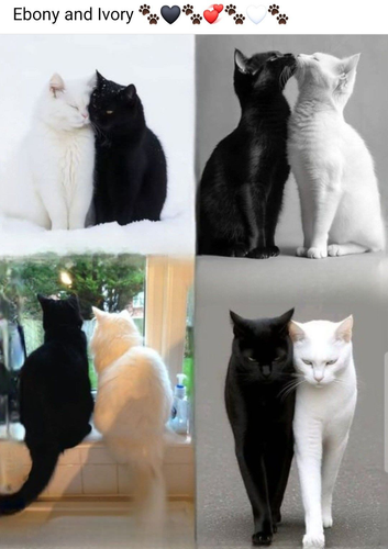 image 2026 06 12T210026.299.png
