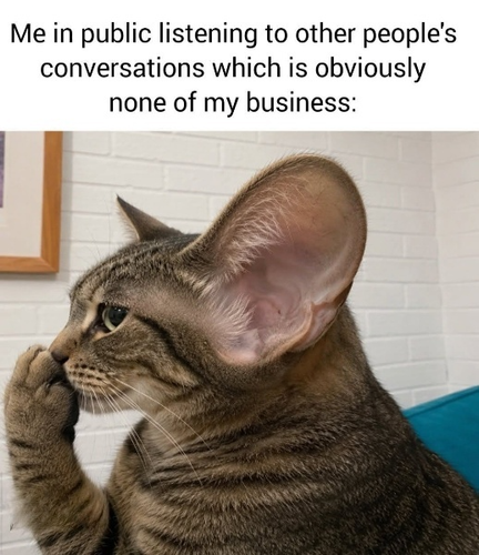 image 2026 06 12T205938.605.png