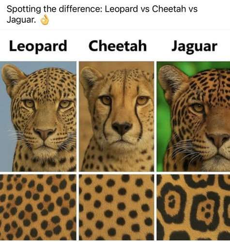 image 2026 06 12T210042.671.png