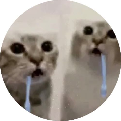 67b26603003b.png